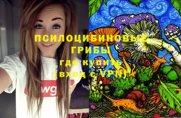 экстази Алексин