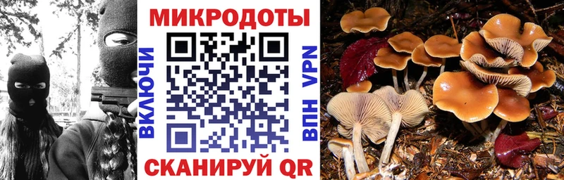 Псилоцибиновые грибы мухоморы Кочубеевское